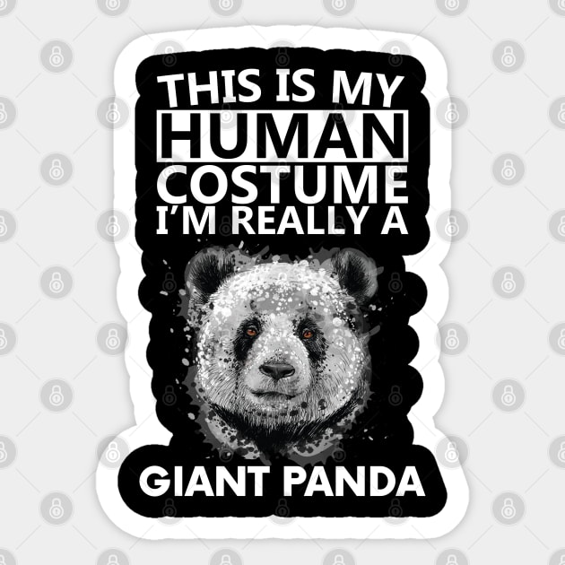 giant panda bear Sticker by youki